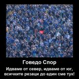 Потребителски аватар