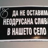 Потребителски аватар