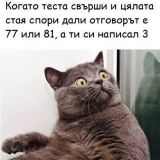 Потребителски аватар