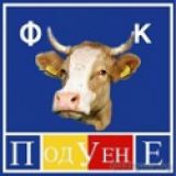Потребителски аватар